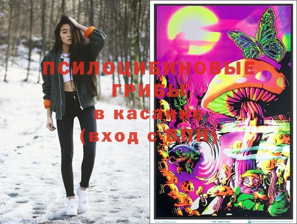 соль ск Армянск
